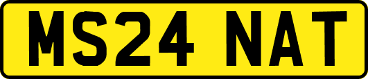 MS24NAT