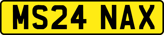 MS24NAX
