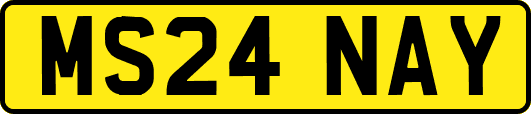 MS24NAY