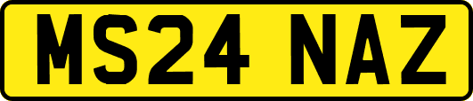 MS24NAZ