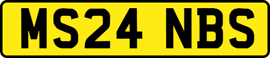 MS24NBS
