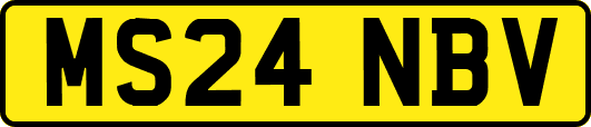 MS24NBV