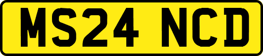 MS24NCD