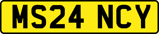 MS24NCY