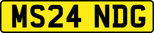 MS24NDG