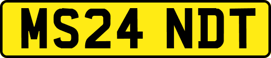 MS24NDT