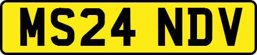 MS24NDV