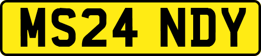 MS24NDY