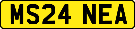MS24NEA