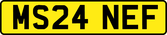 MS24NEF