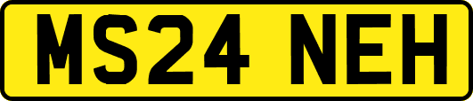 MS24NEH
