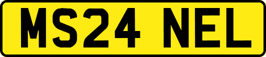 MS24NEL