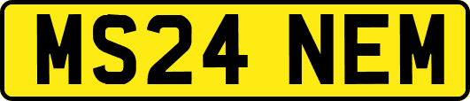 MS24NEM