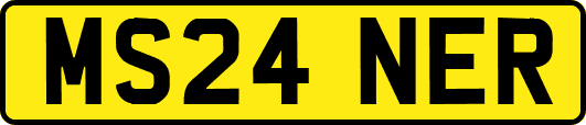 MS24NER