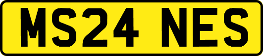 MS24NES