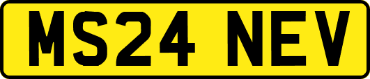 MS24NEV