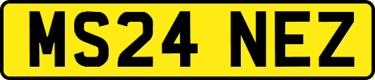 MS24NEZ