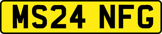 MS24NFG