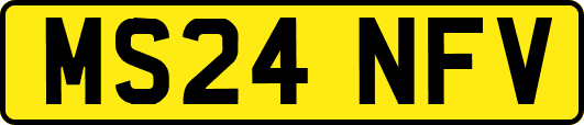 MS24NFV
