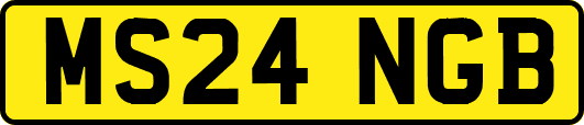 MS24NGB