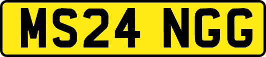 MS24NGG