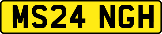 MS24NGH