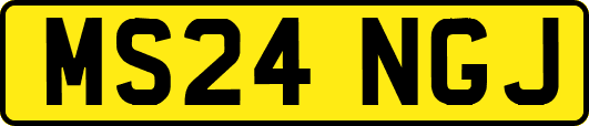 MS24NGJ