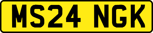 MS24NGK
