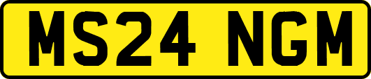 MS24NGM
