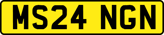 MS24NGN