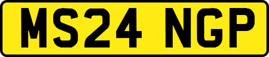 MS24NGP