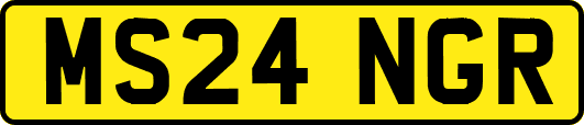 MS24NGR
