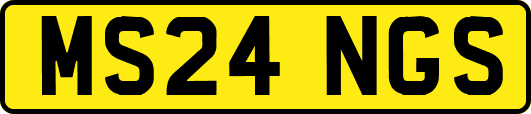 MS24NGS