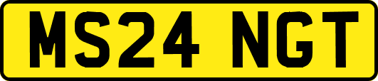 MS24NGT