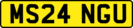 MS24NGU