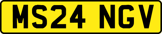 MS24NGV