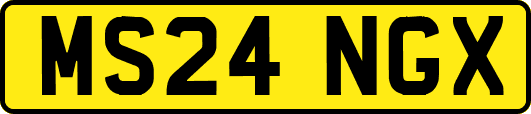 MS24NGX