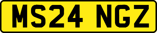 MS24NGZ