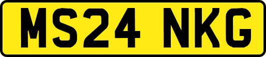 MS24NKG