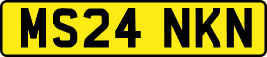 MS24NKN
