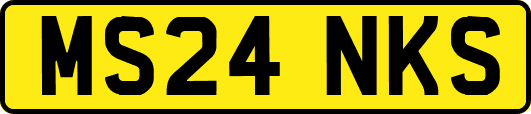 MS24NKS