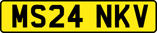 MS24NKV