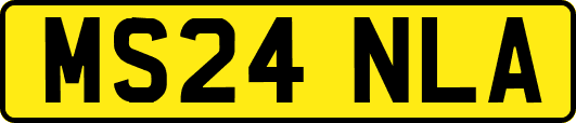 MS24NLA