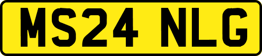 MS24NLG