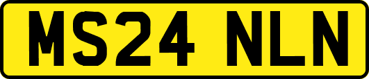 MS24NLN