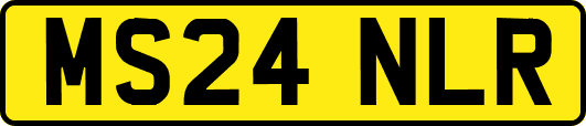 MS24NLR