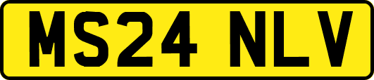 MS24NLV