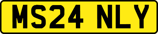 MS24NLY