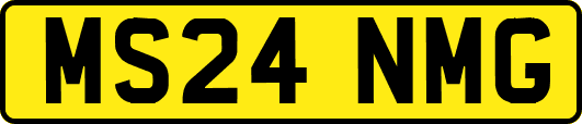 MS24NMG