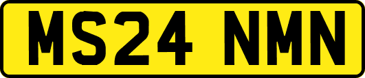 MS24NMN